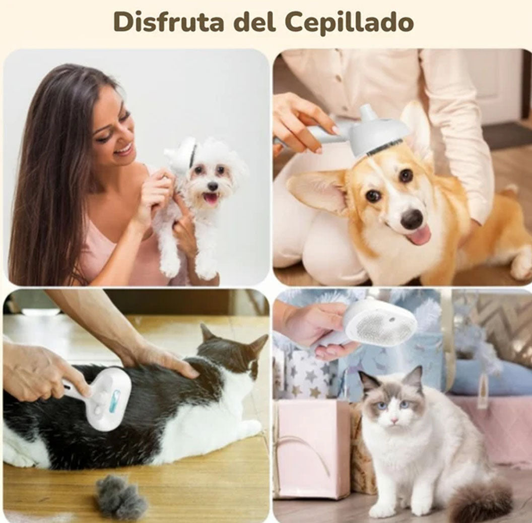Leave your pet spotless with the 2-in-1 dryer brush